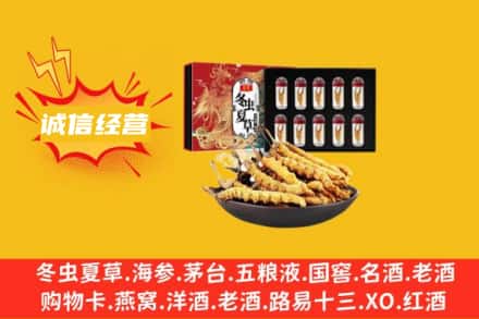 五指山回收冬虫夏草鉴定方法